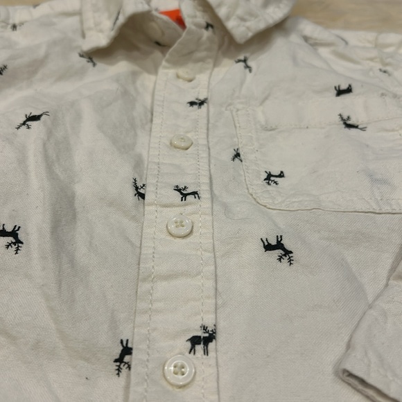 Long-Sleeve Button-Down Shirts in Yellow/Green & White Size 4T - Picture 3 of 10